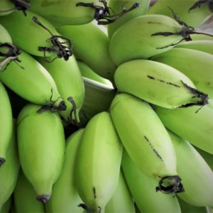 BIOMASSA DE BANANA VERDE
